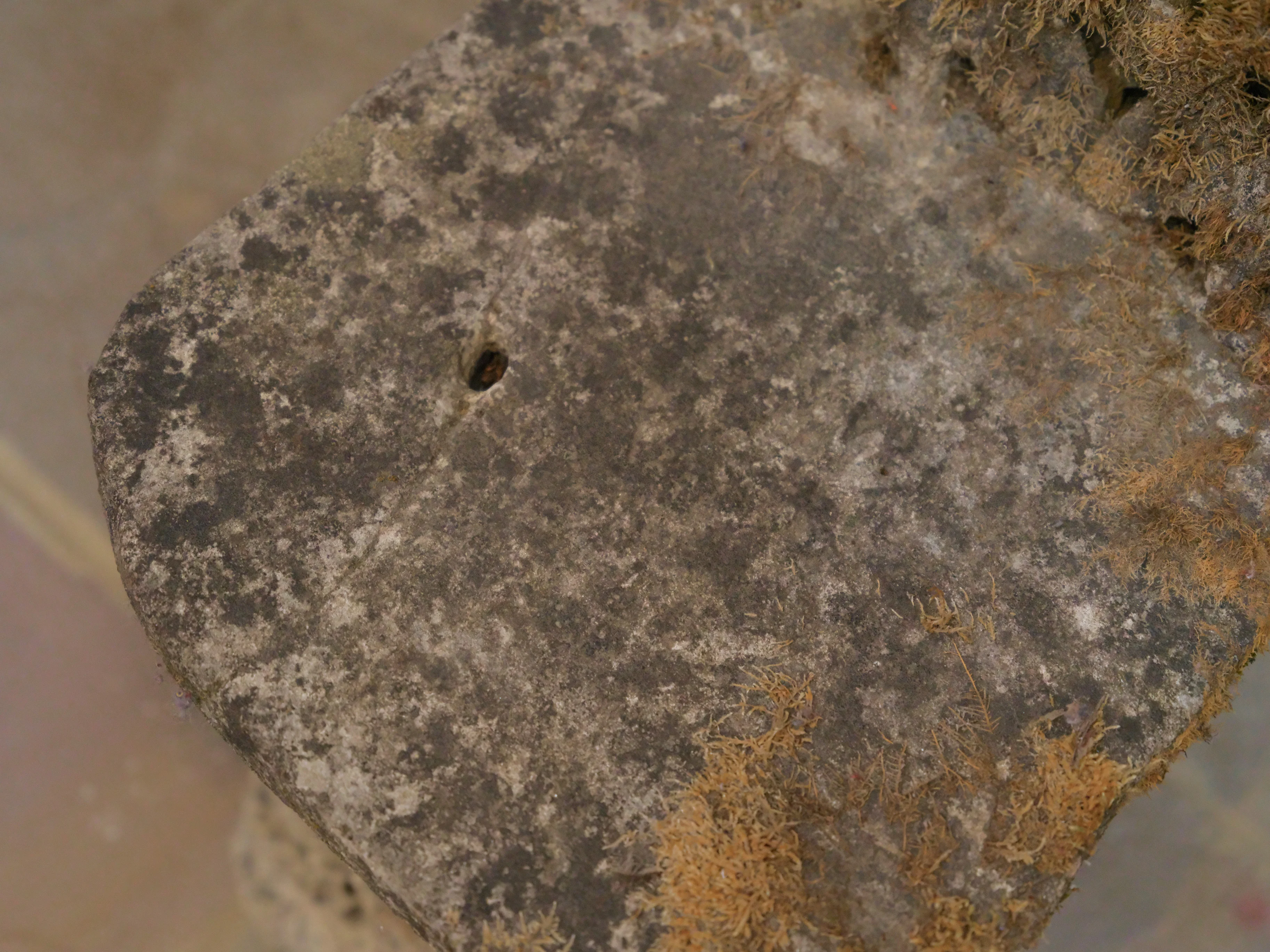 19th Century Italian Grit Stone Grotto Chairs - Image 21