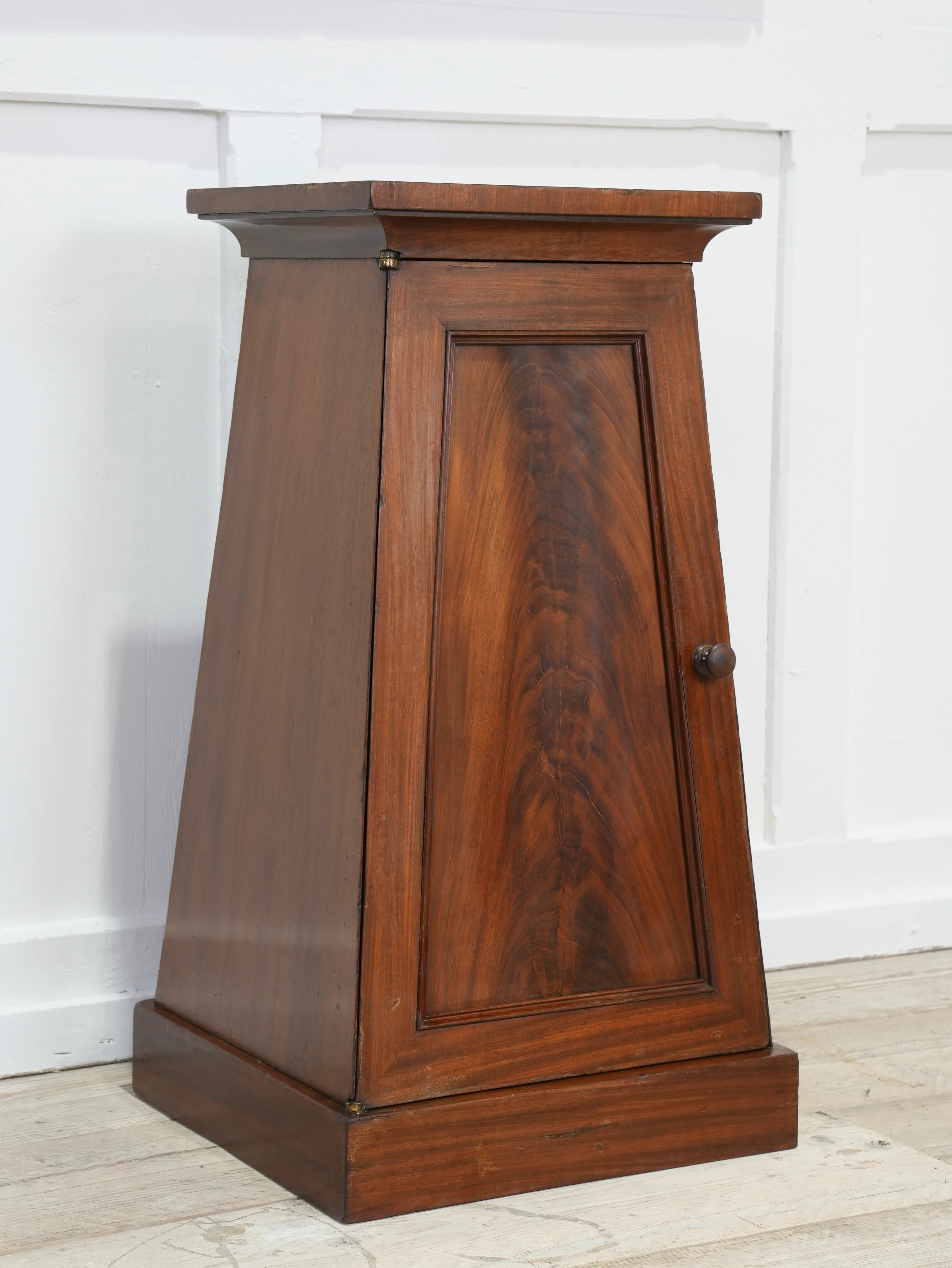 A Regency Mahogany Pedestal Cabinet - Image 6
