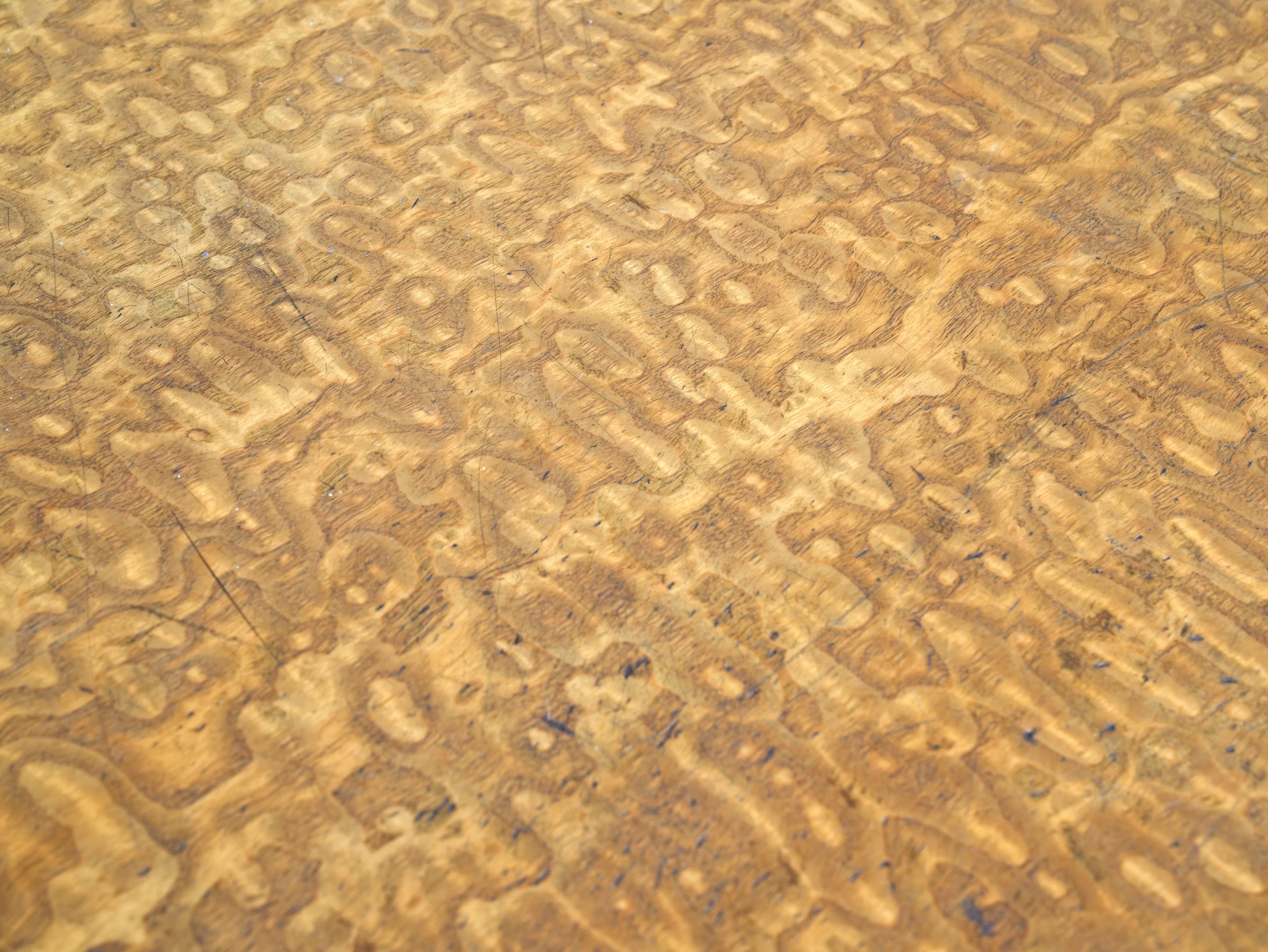 A 19th Century Burr Ash Chest of Drawers - Image 8
