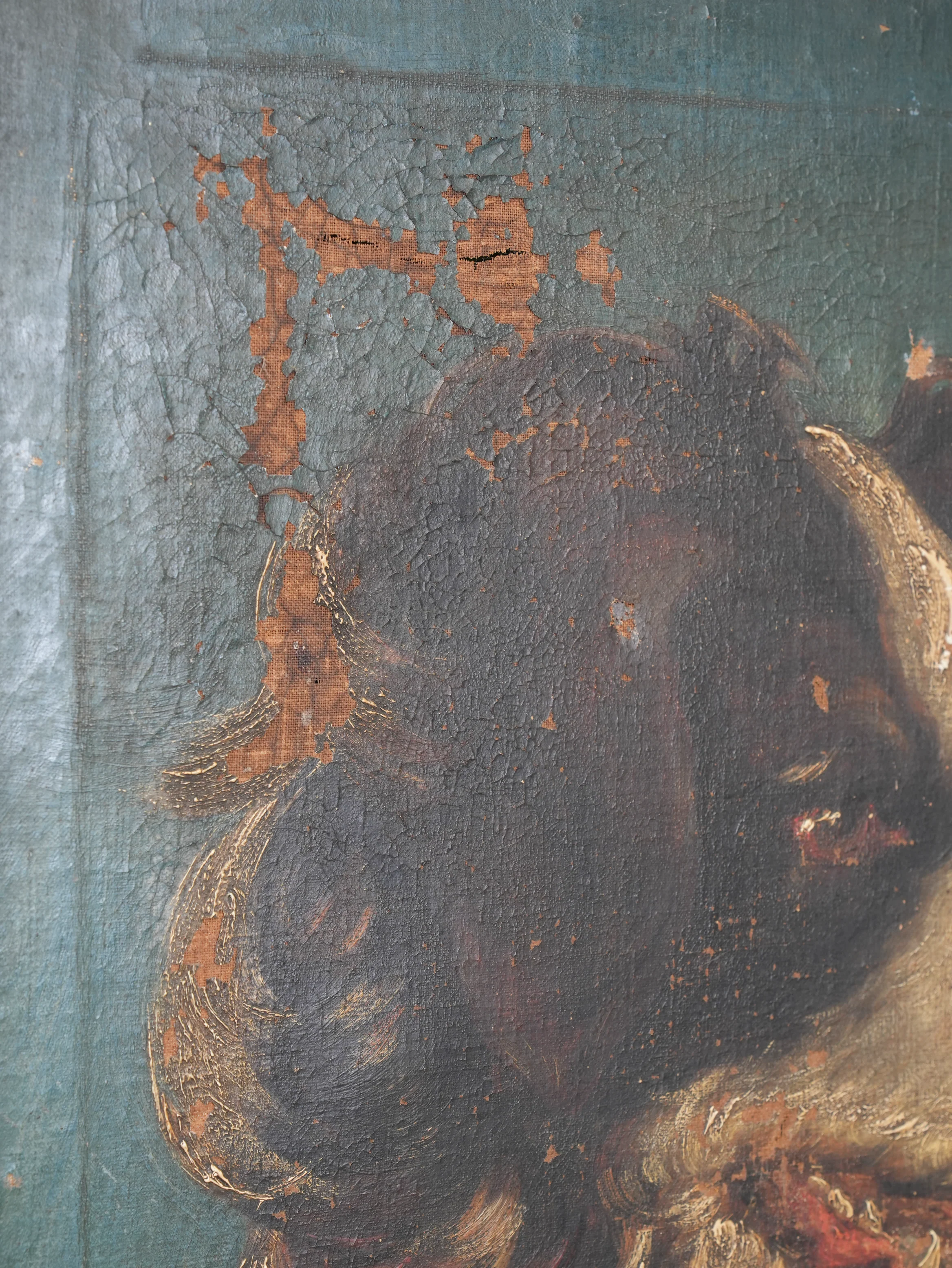 Collie Dog - Image 4