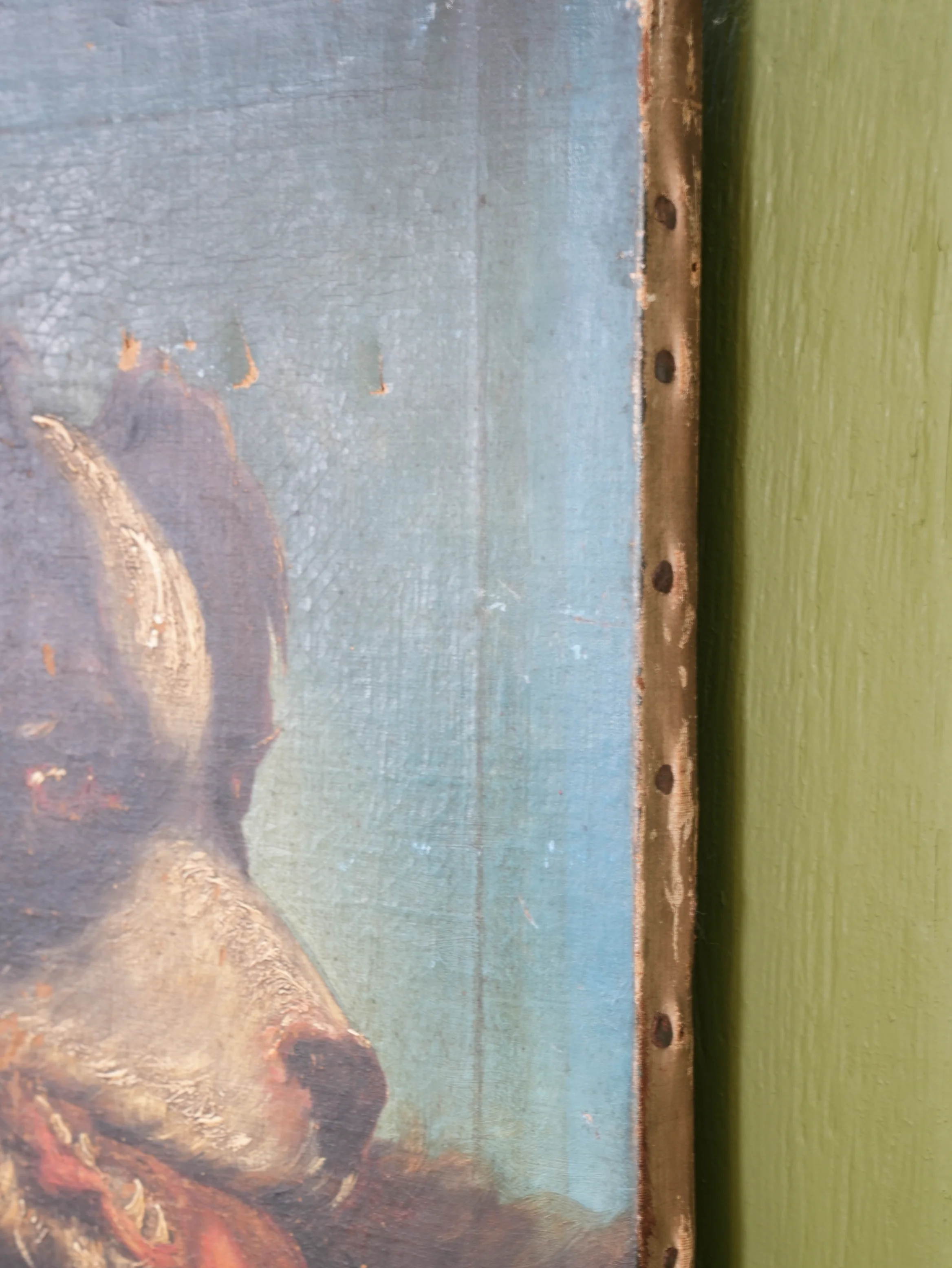 Collie Dog - Image 6