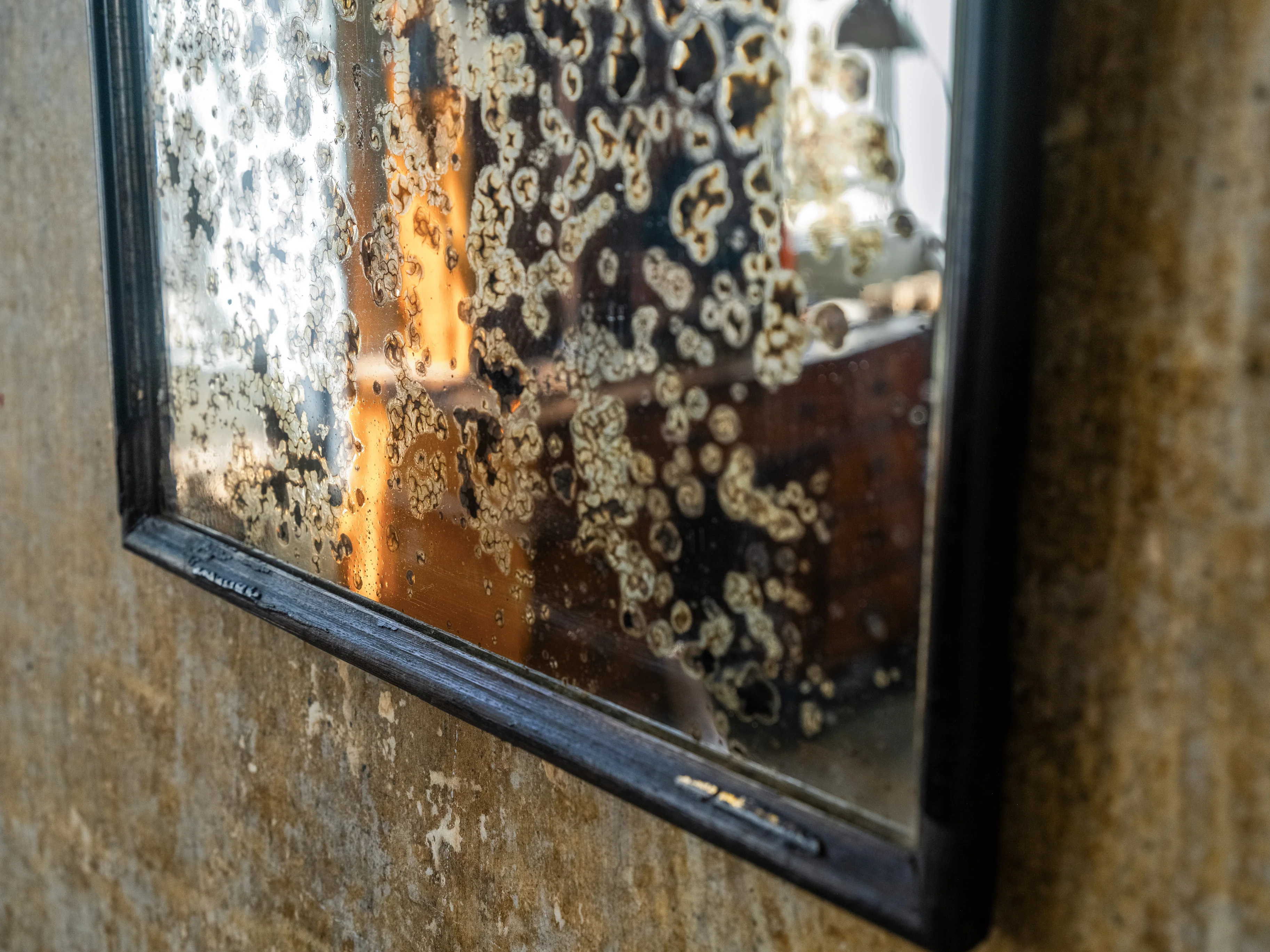 A Distressed 19th Century Wall Mirror - Image 5