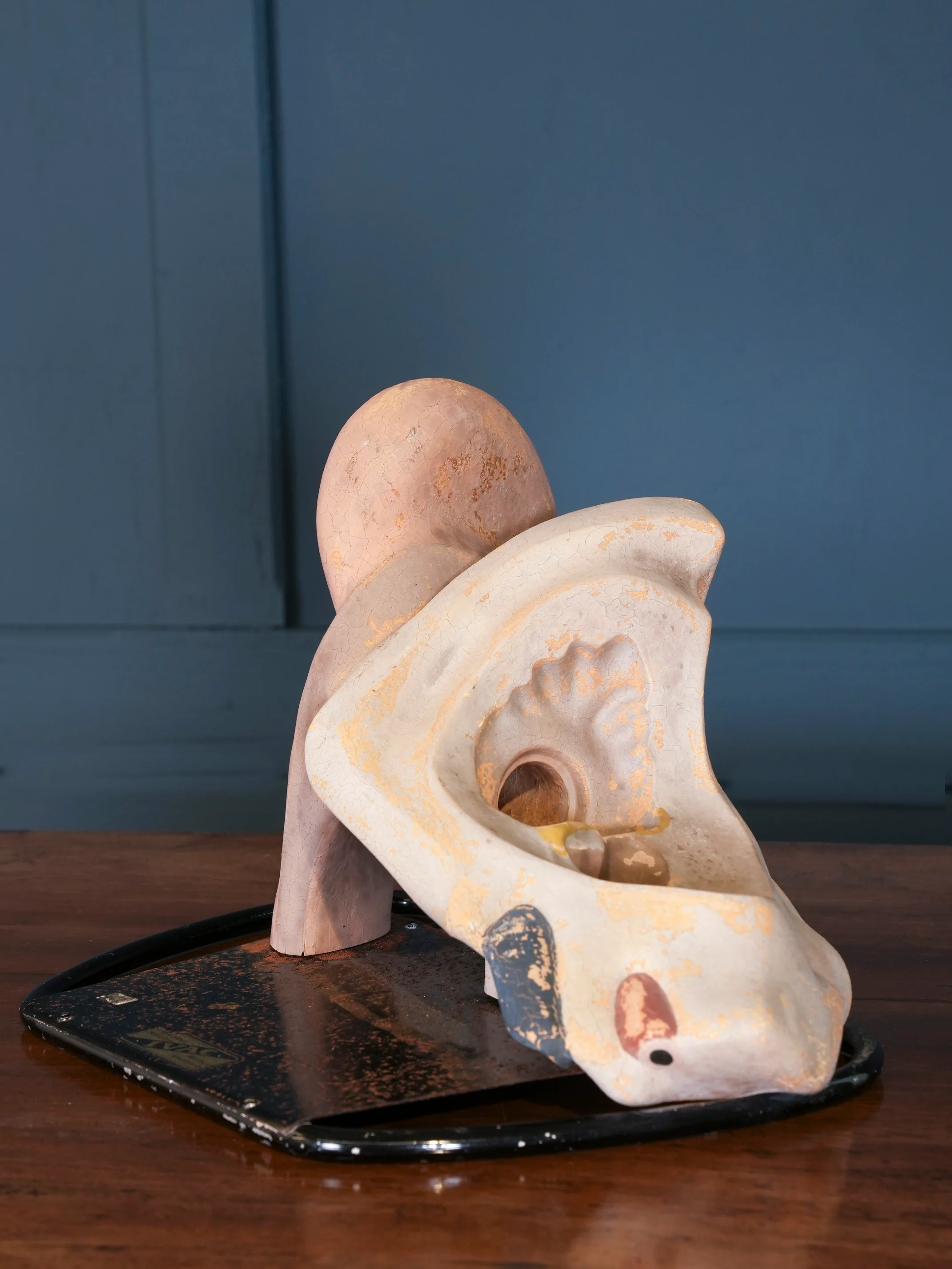 Anatomical Inner Ear Model - Image 2