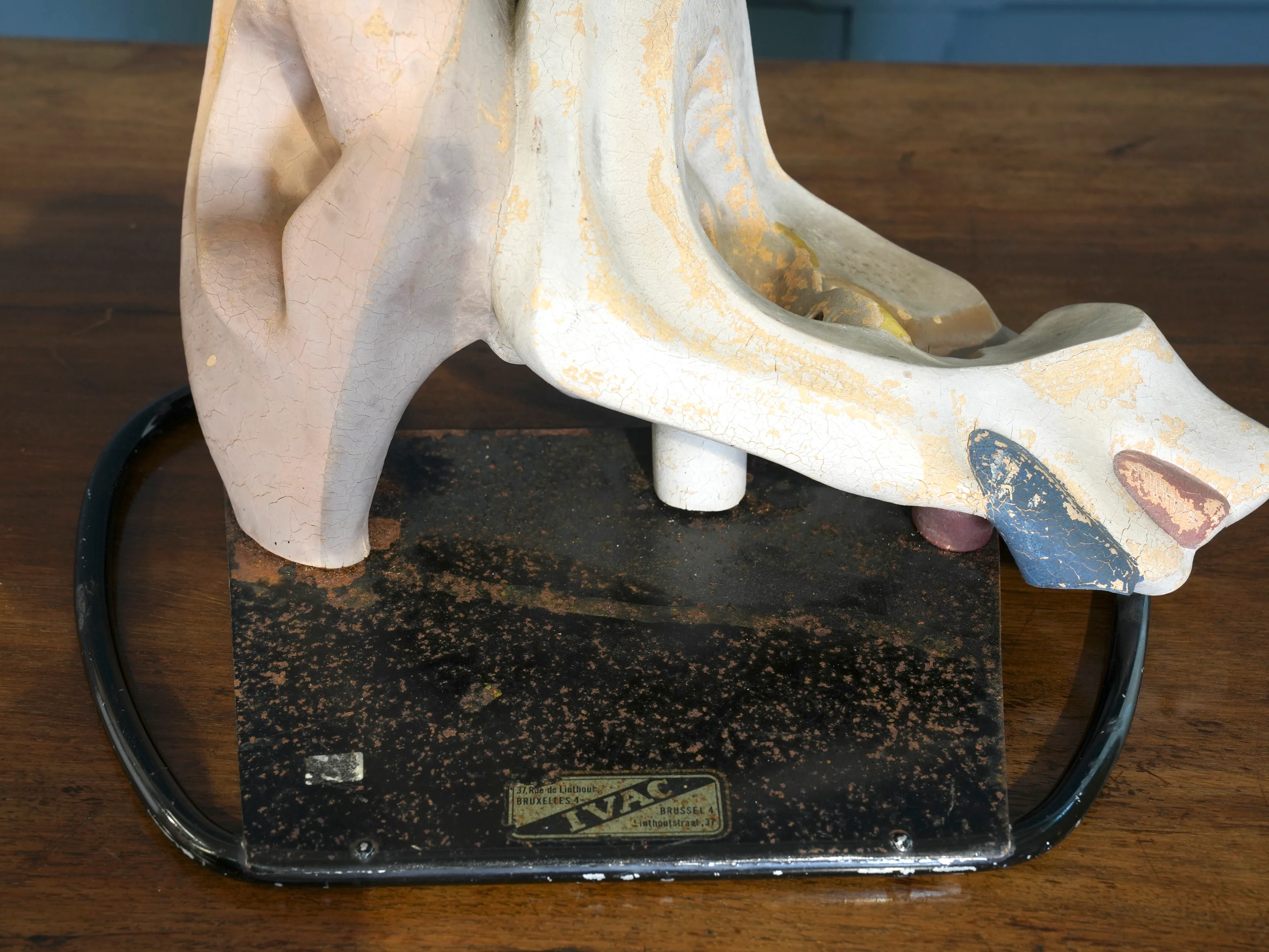 Anatomical Inner Ear Model - Image 4