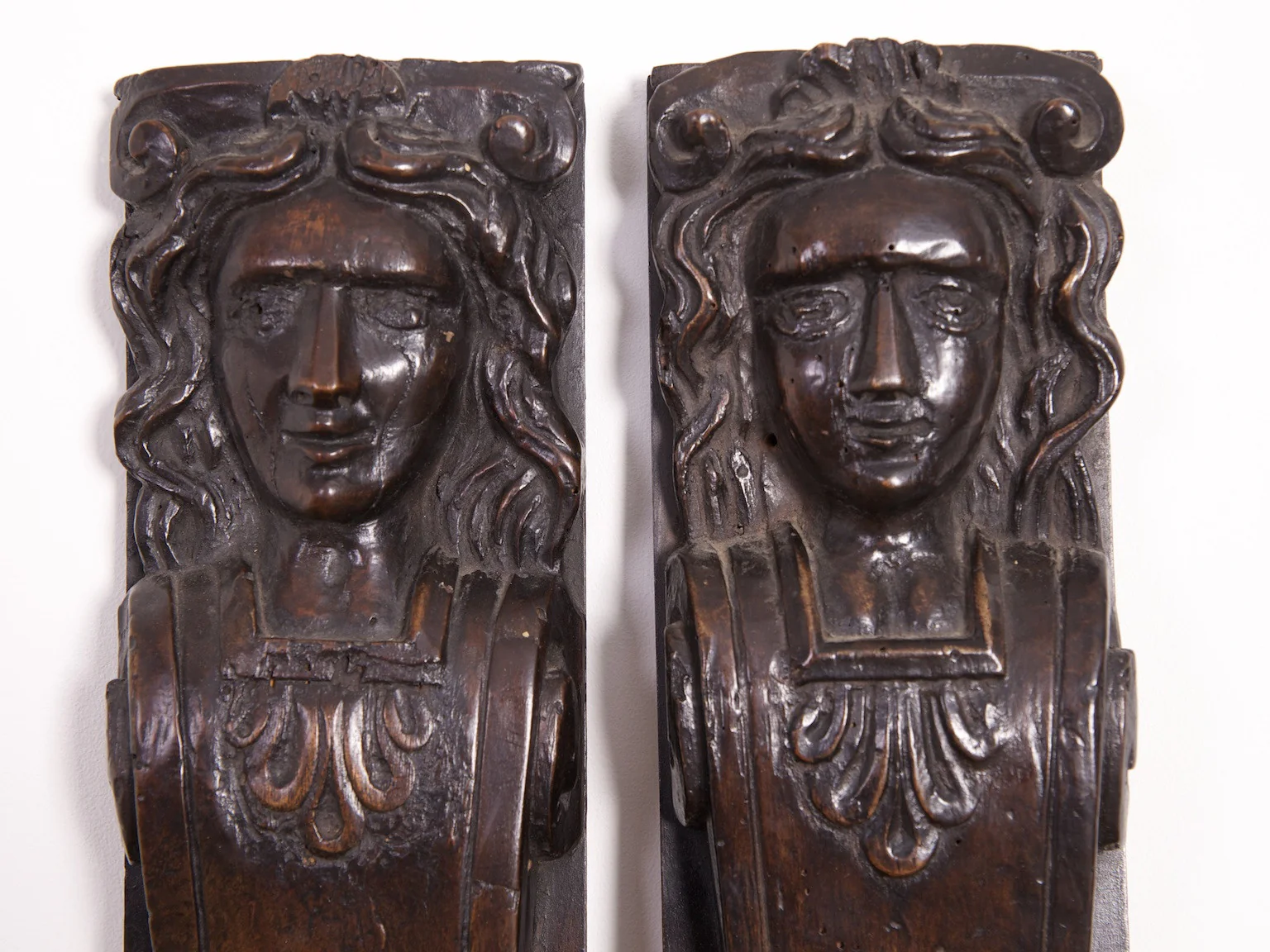 Early Oak Termes - Image 3