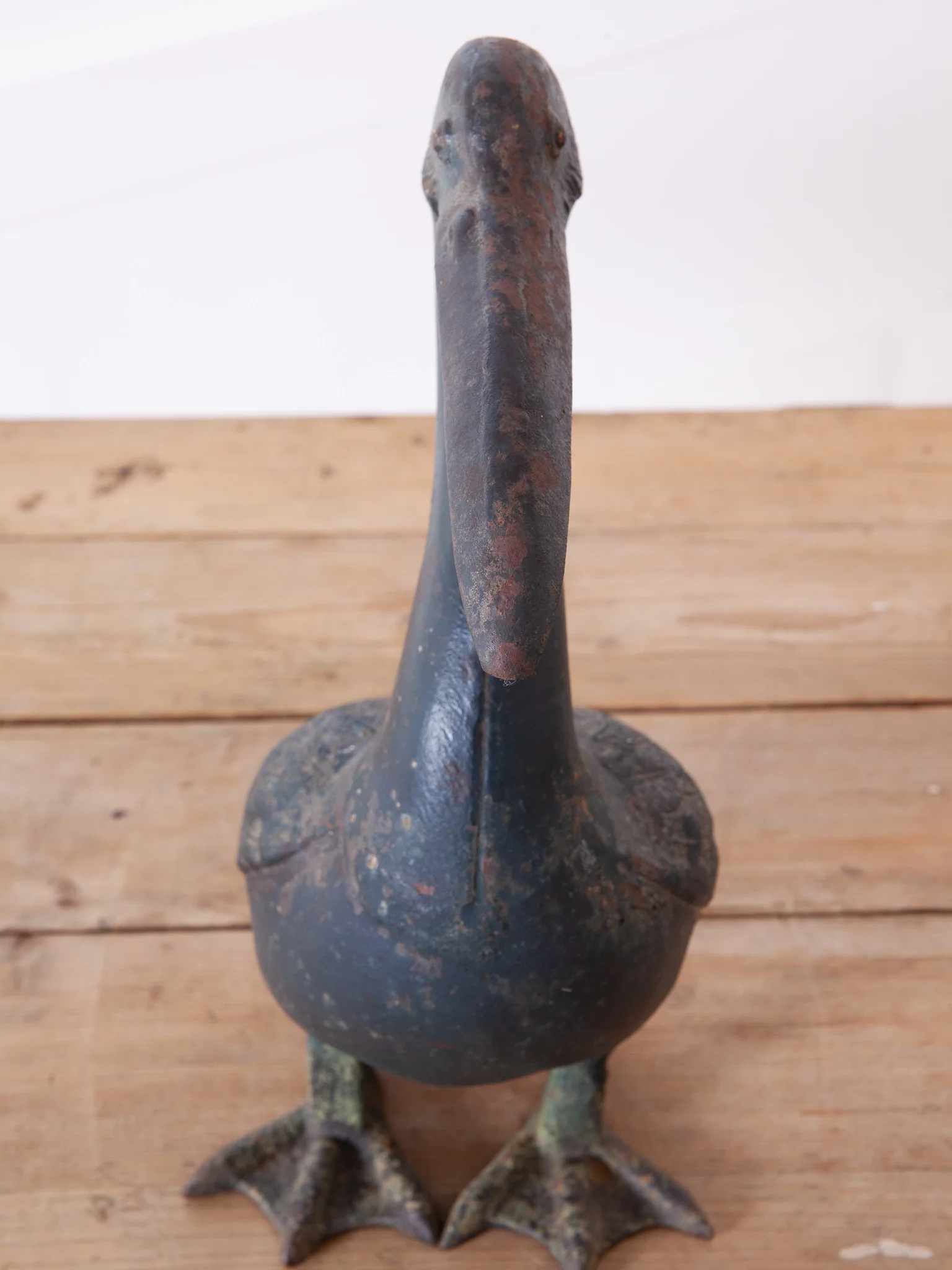 Pelican - Image 4