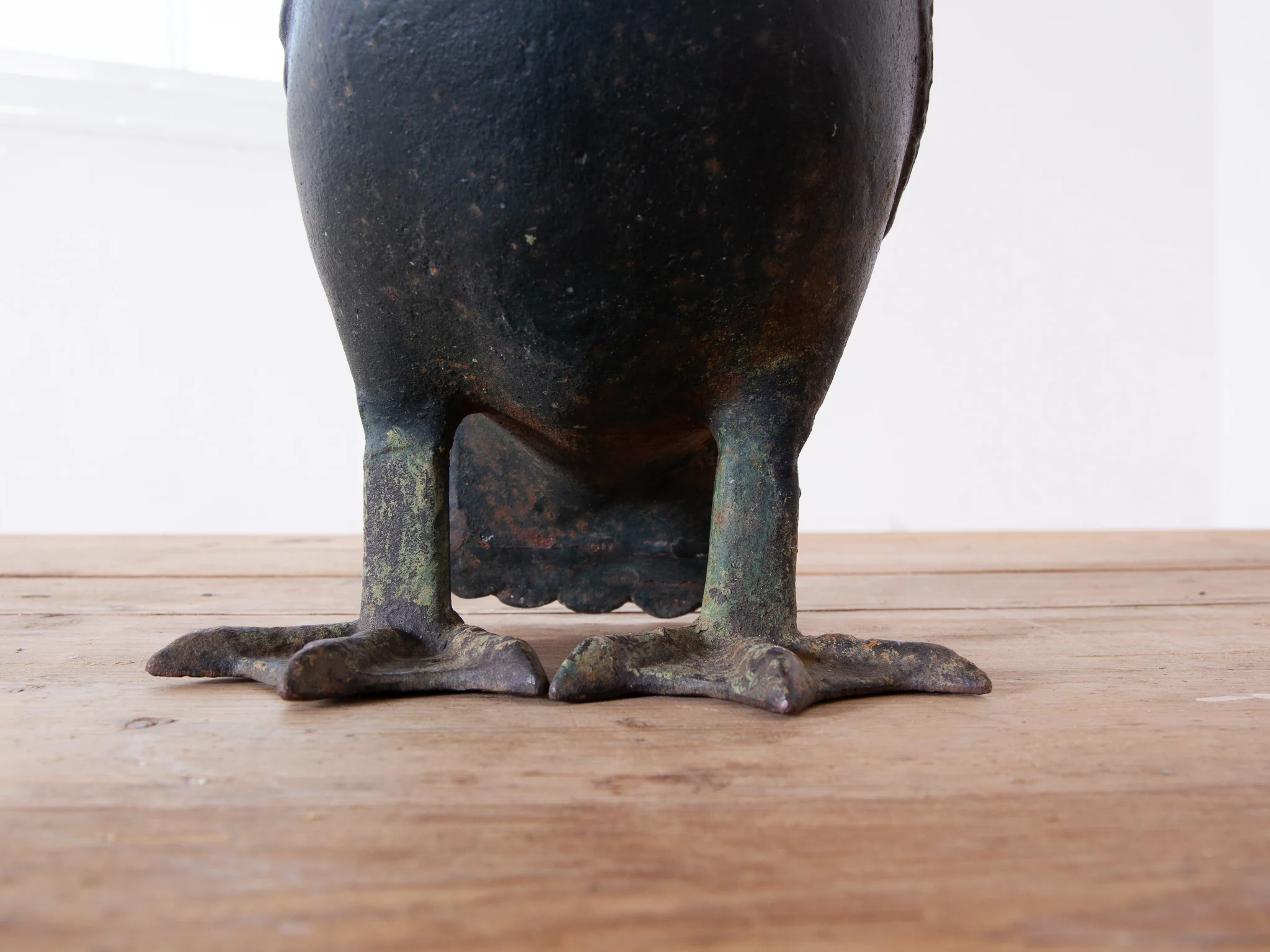 Pelican - Image 5