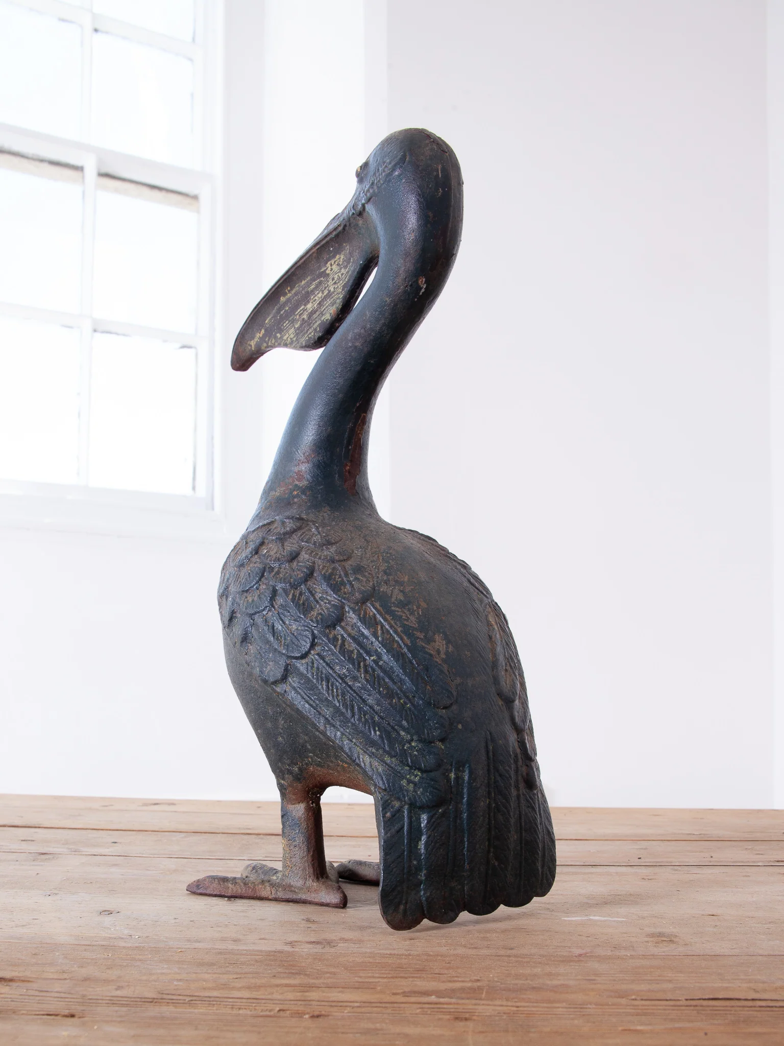 Pelican - Image 6