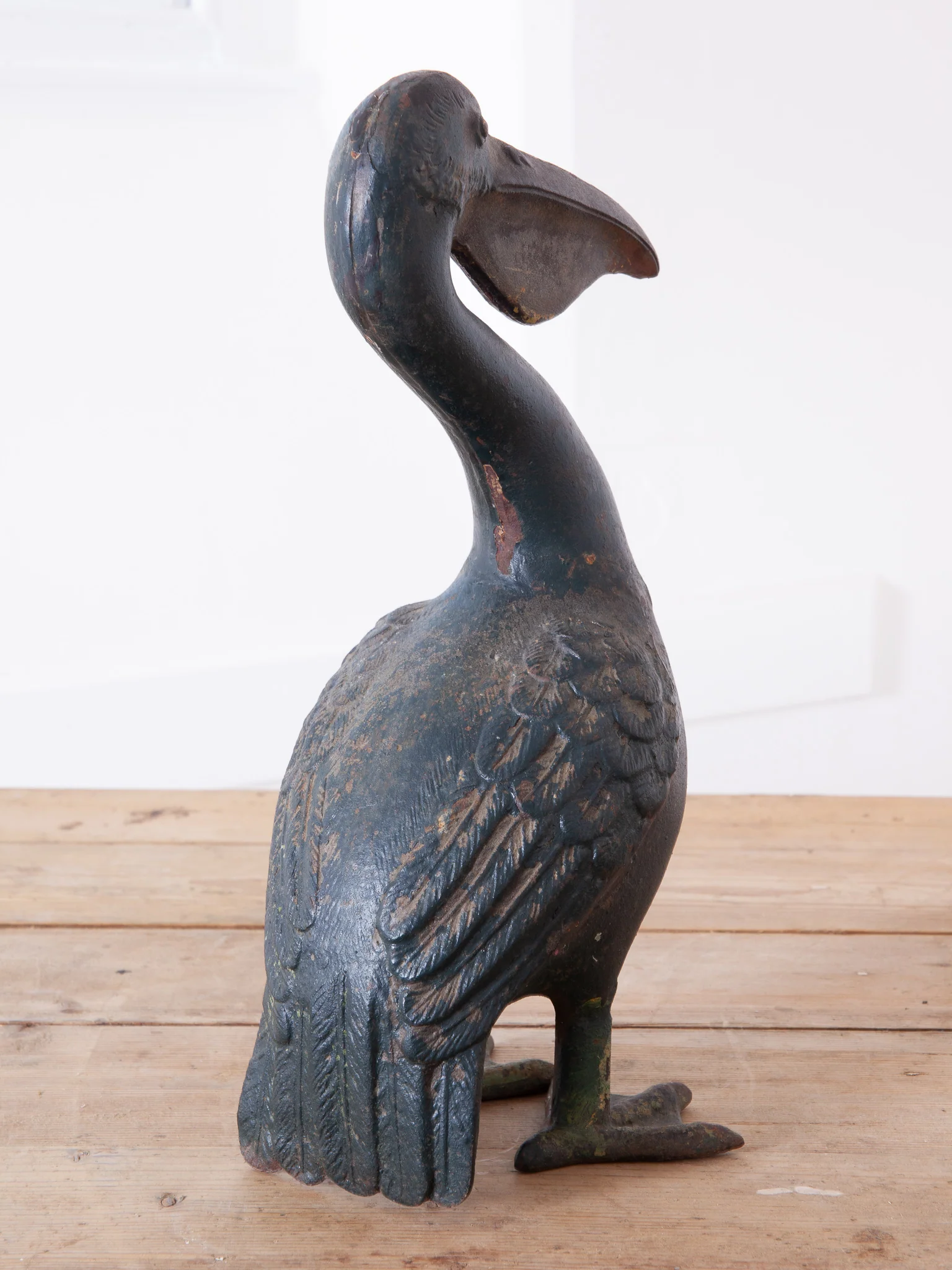 Pelican - Image 8