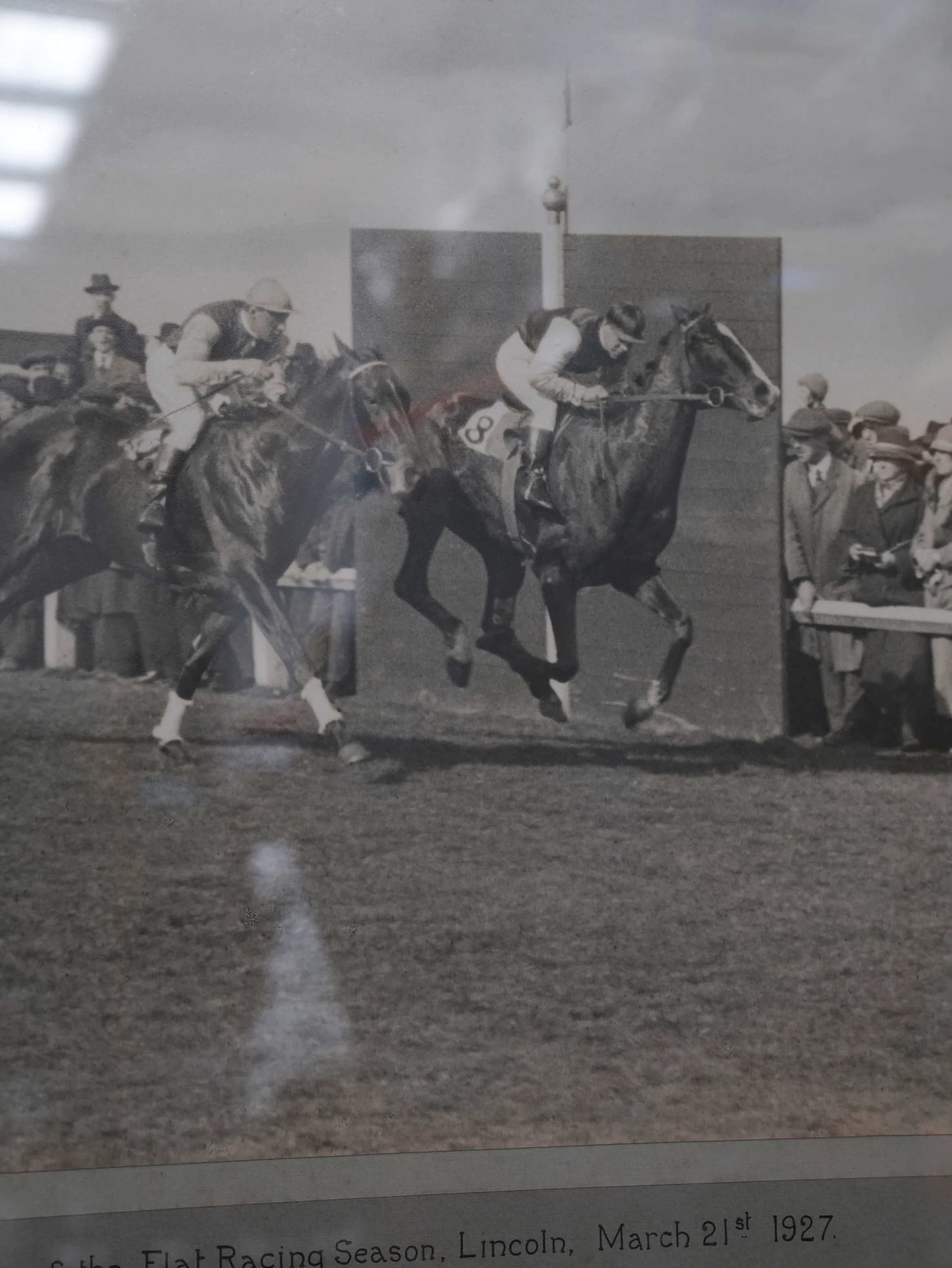 A Day at the Races - Image 10