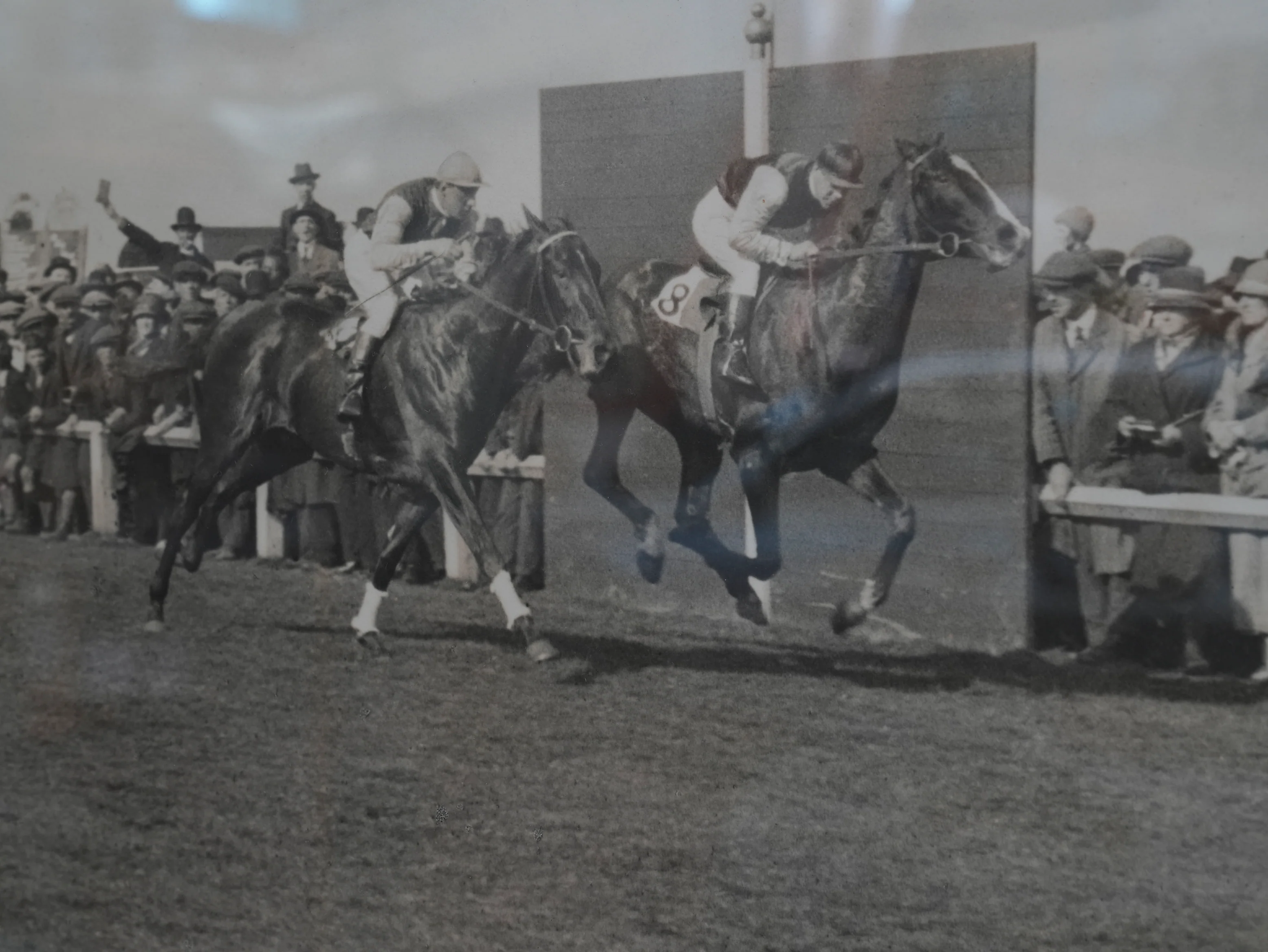 A Day at the Races - Image 9