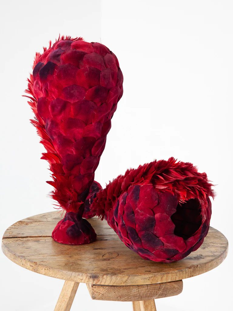 Plumes - Image 3