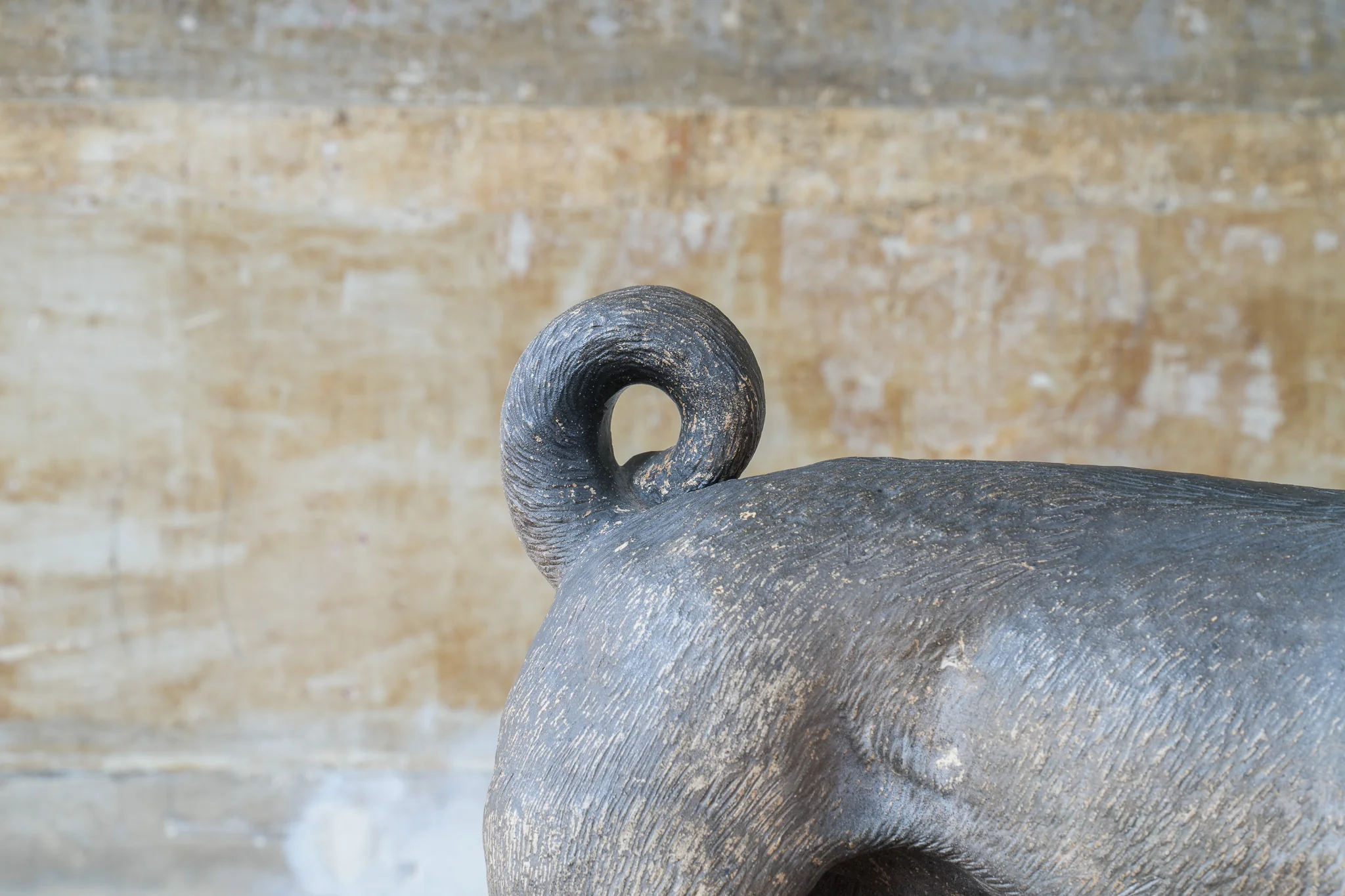 A Terracotta Pug - Image 7