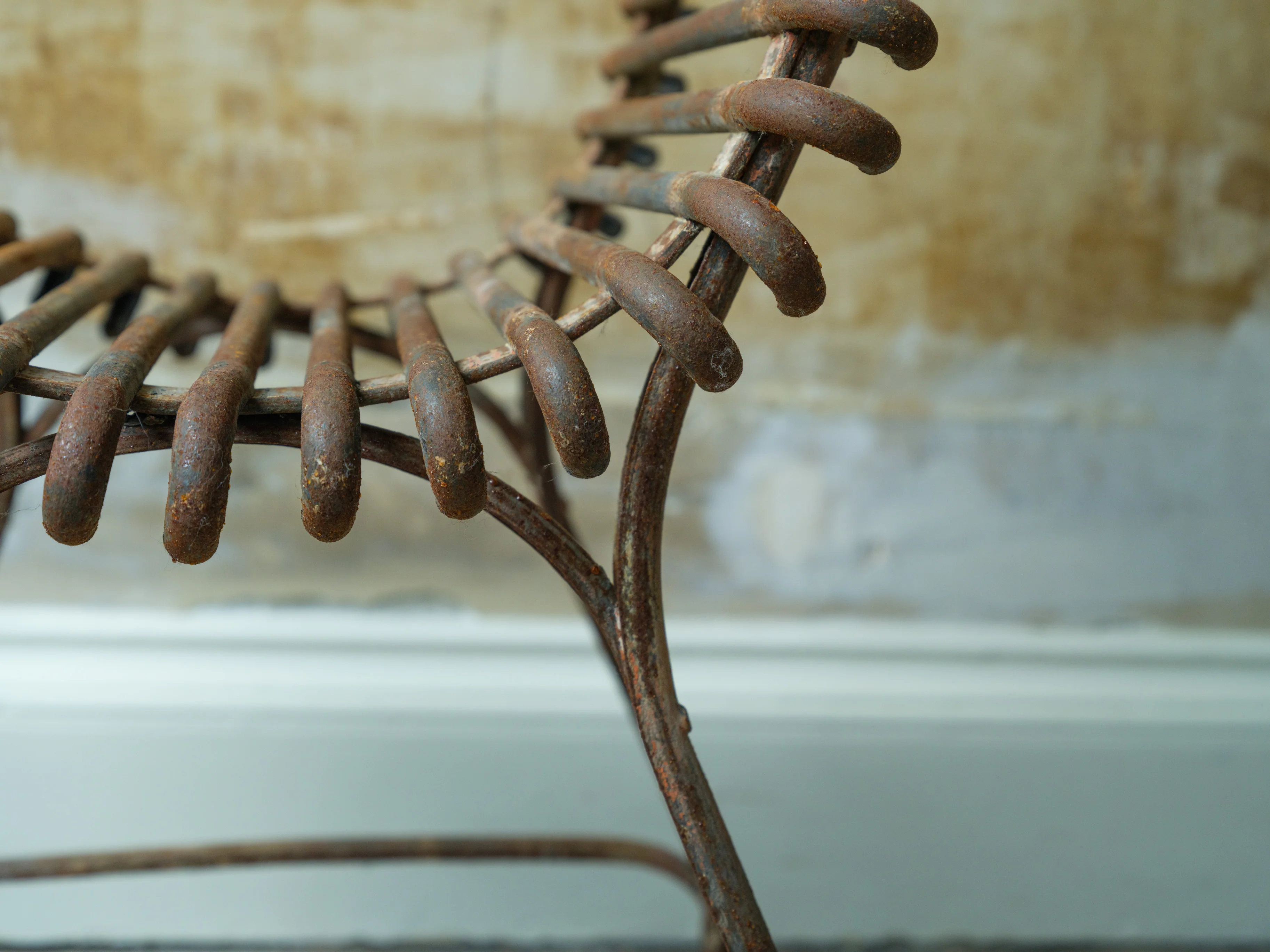 Six 19th Century Arras Chairs - Image 5