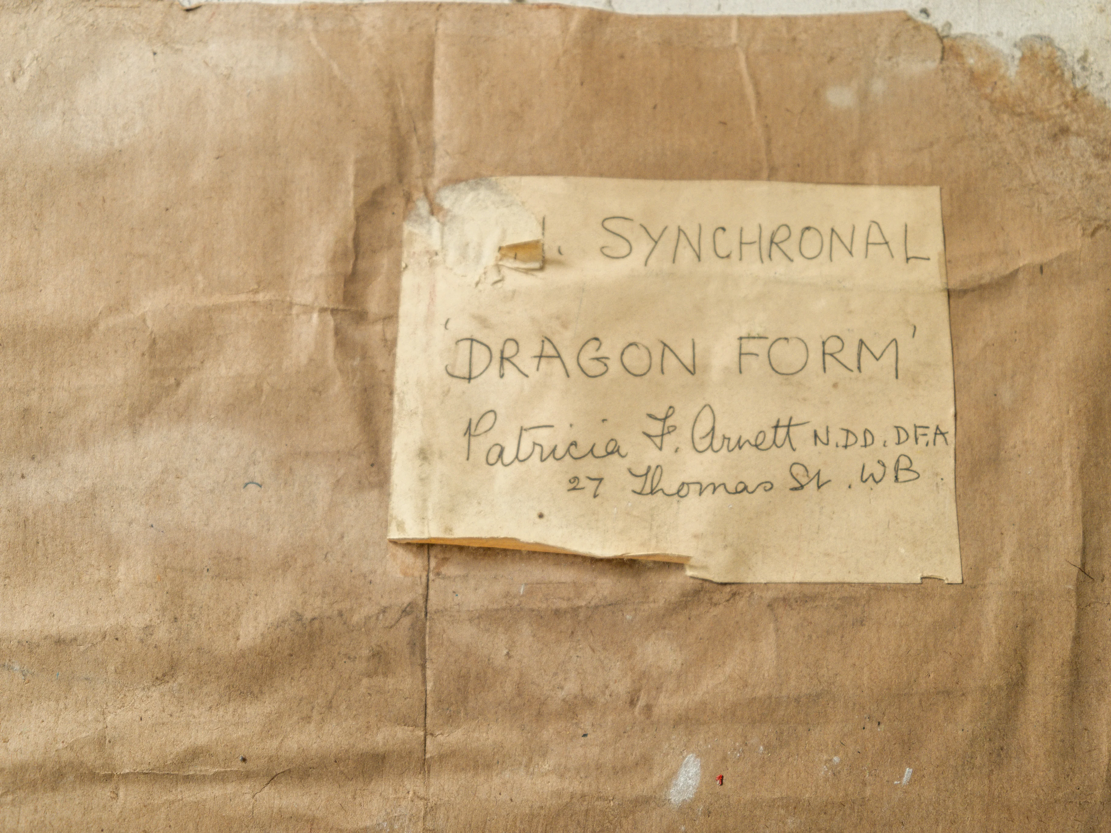 Dragon Form - Patricia Arnett - Image 14