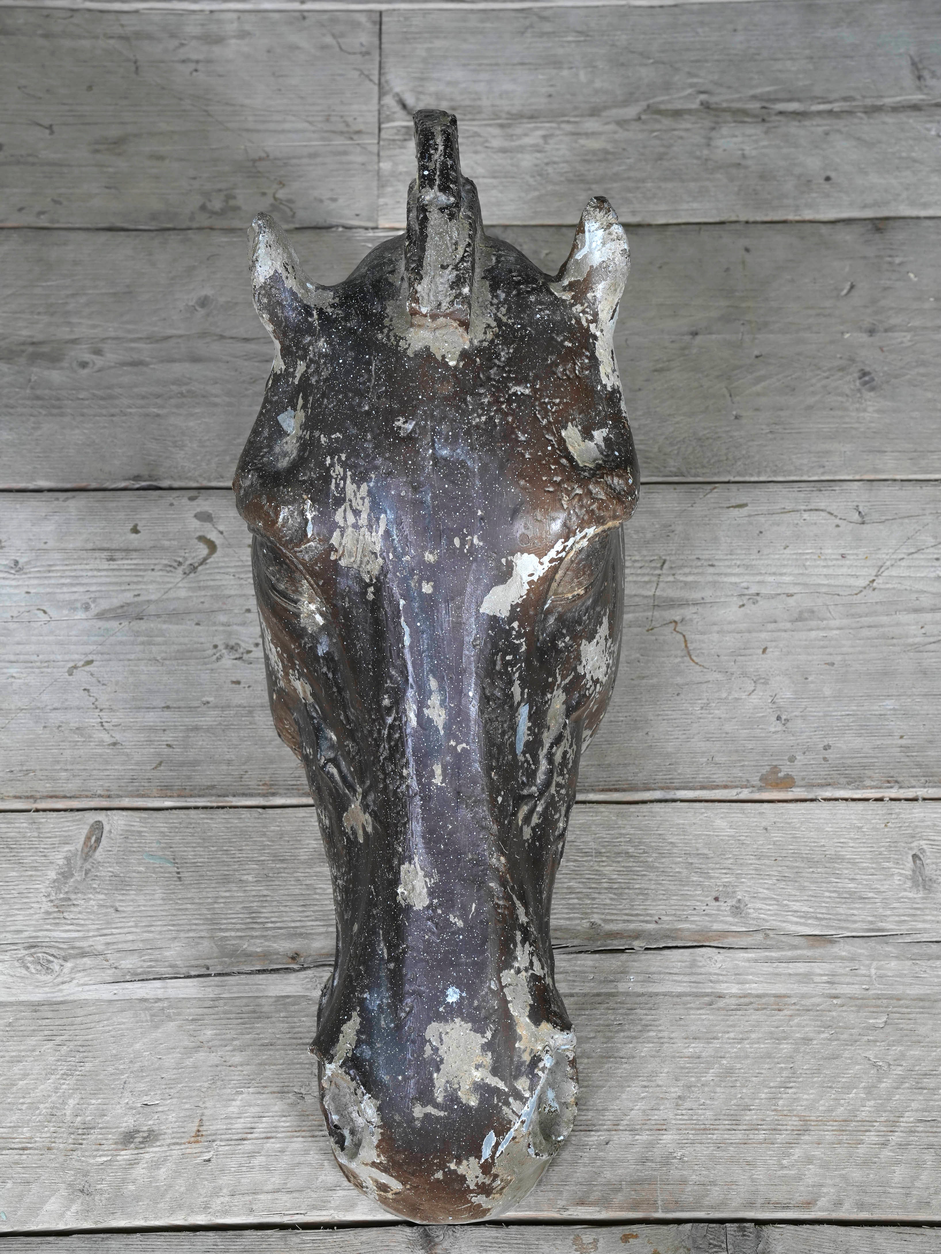 The Head Of The Horse Of Selene - Image 14