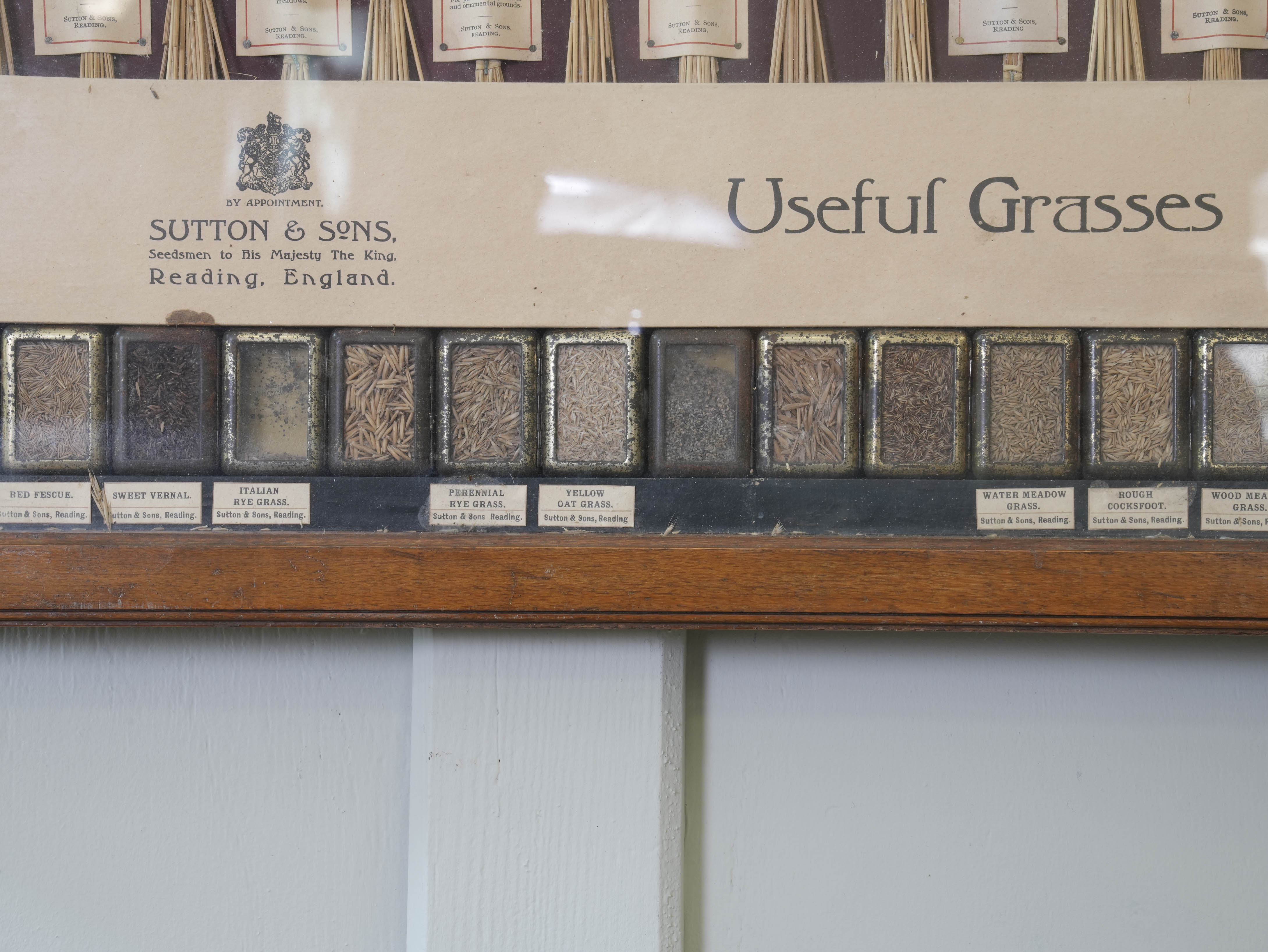 Suttons “Useful” Grasses & “Useless” Grasses Samplers - Image 13