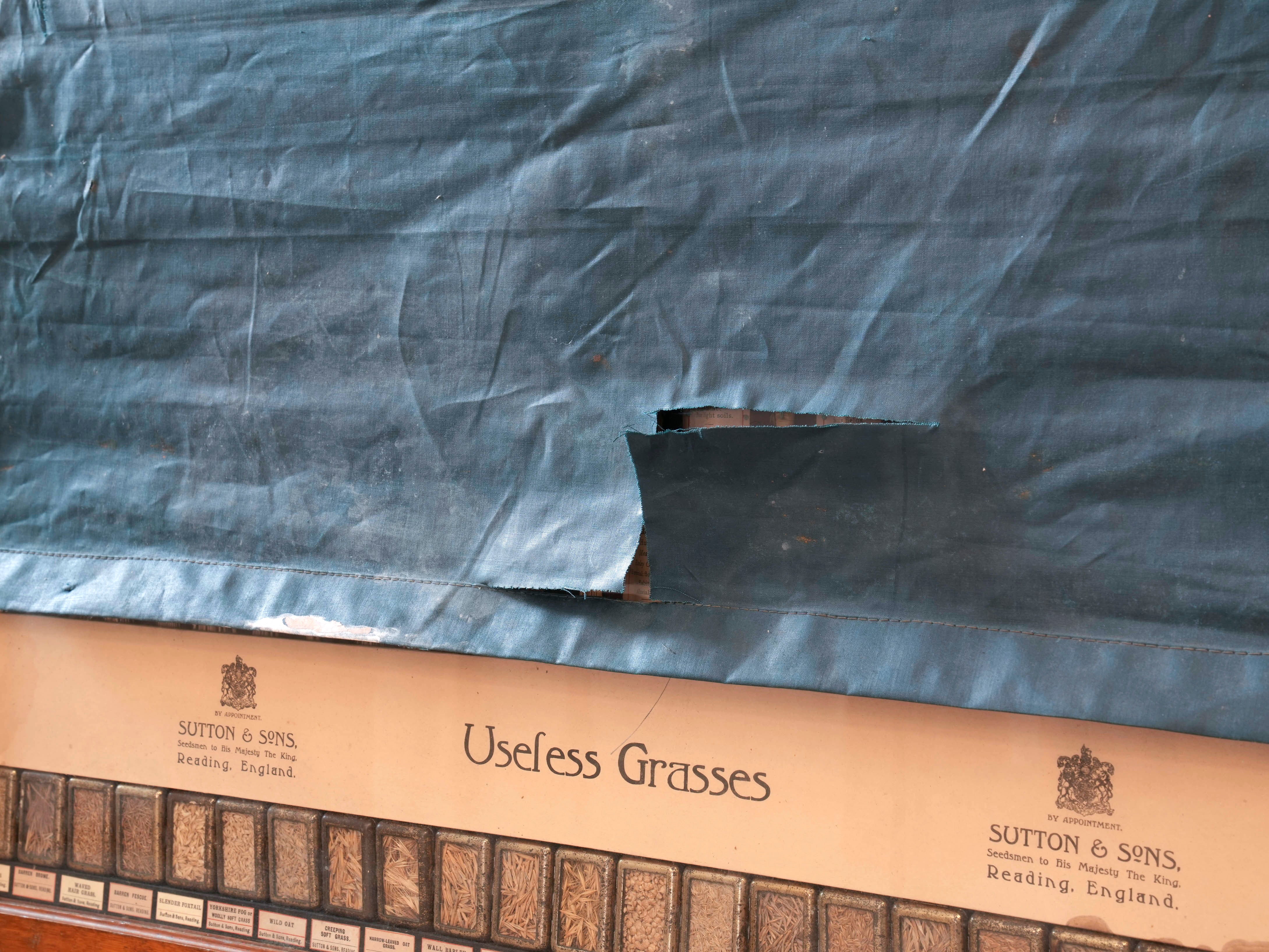 Suttons “Useful” Grasses & “Useless” Grasses Samplers - Image 14