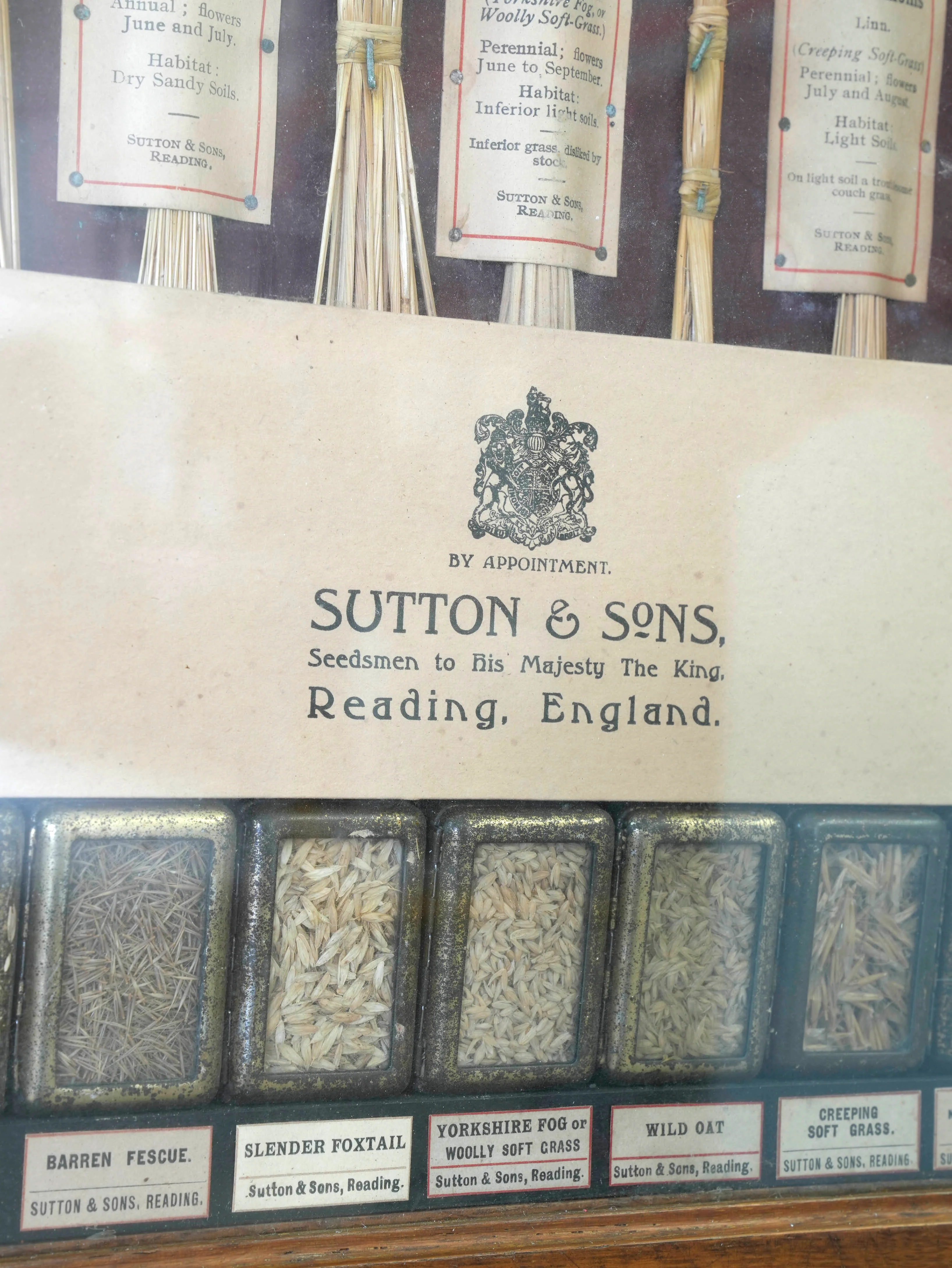 Suttons “Useful” Grasses & “Useless” Grasses Samplers - Image 8